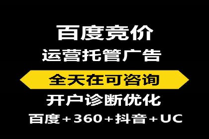经典案例：专业SEM托管如何实现ROI最大化