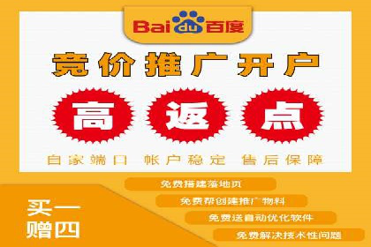 成功SEM投放案例分享